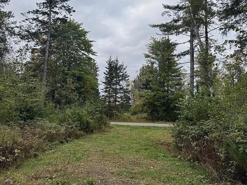 3.01 Acres Pine Shore Lane, KING, WI, 54487 | Card Image