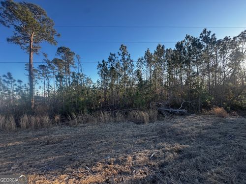 0 Ga Highway 107, Denton, GA, 31532 | Card Image