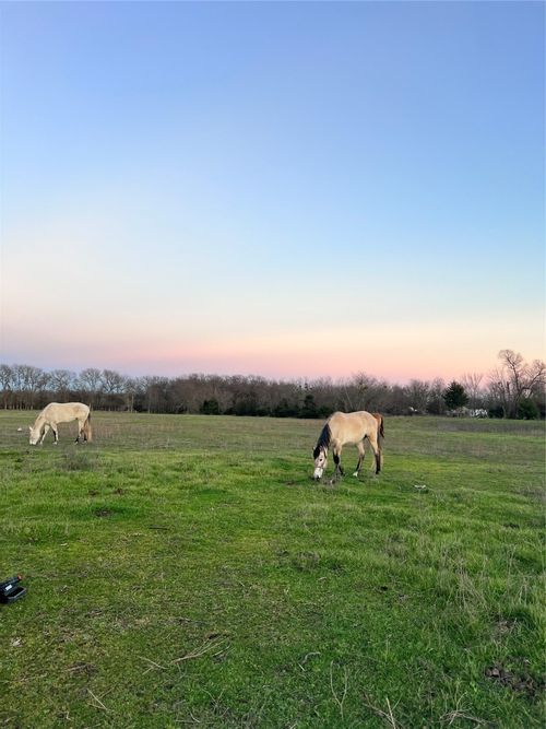 2542 Private Dr, Quinlan, TX, 75474 | Card Image