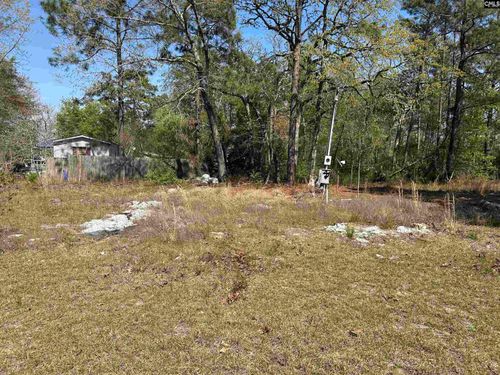 149 Hass Lucas Rd, Gaston, SC, 29053-8759 | Card Image