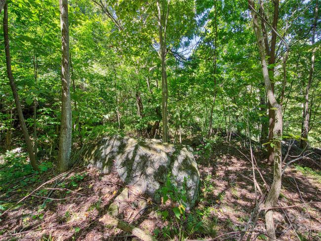 00 Yellow Locust Dr, Home with 0 bedrooms, 0 bathrooms and null parking in Waynesville NC | Image 8