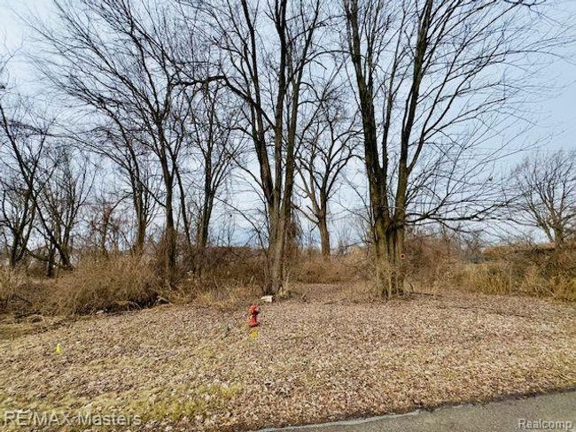 0000 Wahrman St, Home with 0 bedrooms, 0 bathrooms and null parking in Romulus MI | Image 4