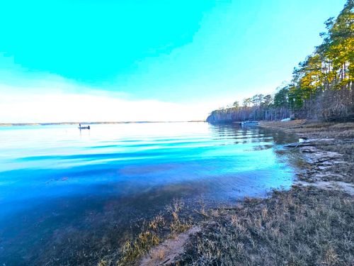 7807 County Road 447, Bronson, TX, 75930 | Card Image