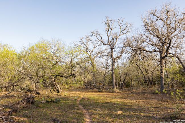 343 Batey Rd, Home with 3 bedrooms, 2 bathrooms and null parking in Nixon TX | Image 40