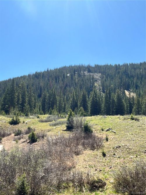 2711 Forest Queen Mc, Buena Vista, CO, 81211 | Card Image