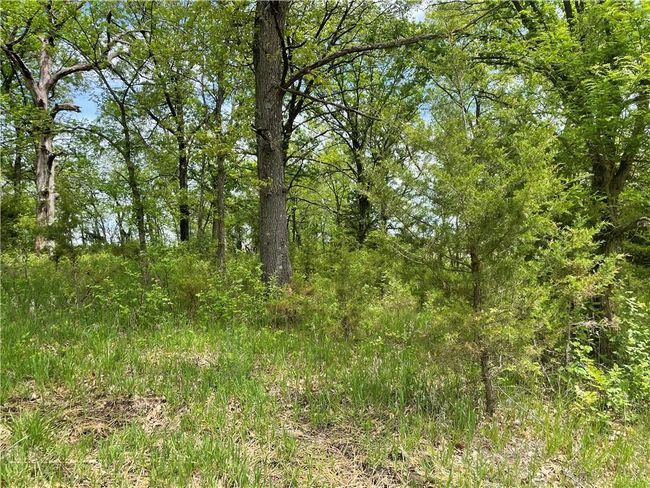 Lot 3038 Lake Viking Terrace, Home with 0 bedrooms, 0 bathrooms and null parking in Gallatin MO | Image 2