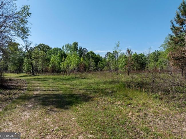 6053 Sun Hill Grange Rd, Home with 0 bedrooms, 0 bathrooms and null parking in Davisboro GA | Image 113