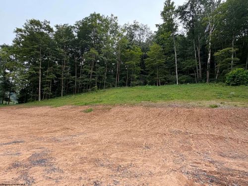 TBD Pharis Rd, Belington, WV, 26250 | Card Image