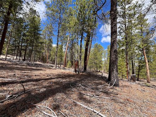 1013 Sequoia Dr, Twin Lakes, CO, 81251 | Card Image