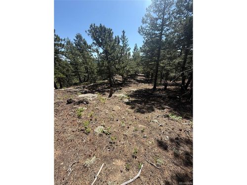 11548 Overlook Dr, Golden, CO, 80403-8528 | Card Image