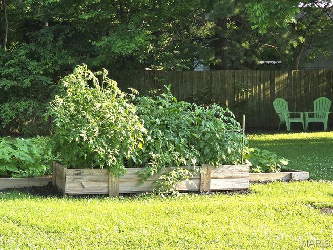 View of yard with a garden | Image 24