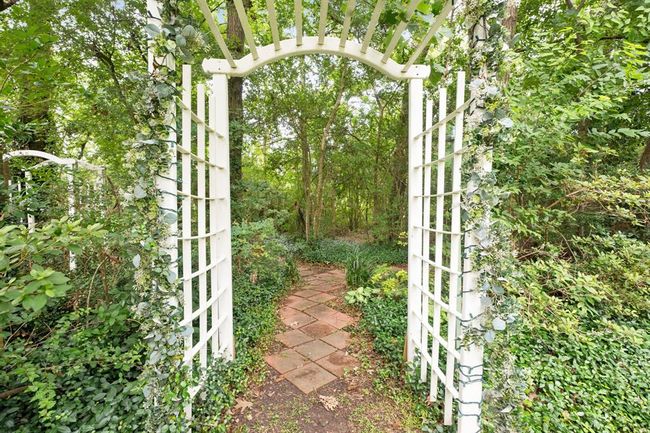 One of the entrances to your own magical forest. | Image 34