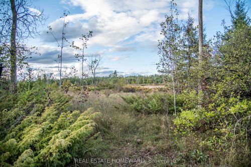254-256 Mcguire Beach Rd, Kirkfield, ON, K0M2B0 | Card Image