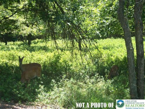 1367 Stony Mountain Rd, Albrightsville, PA, 18210 | Card Image