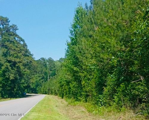 82 Acres Point Caswell Rd, Atkinson, NC, 28421 | Card Image