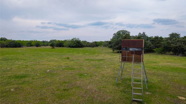 View of grassy yard | Image 22