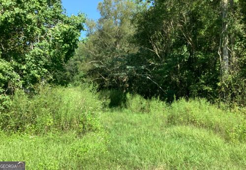 0 Burnt Fort Rd, WHITE OAK, GA, 31568 | Card Image