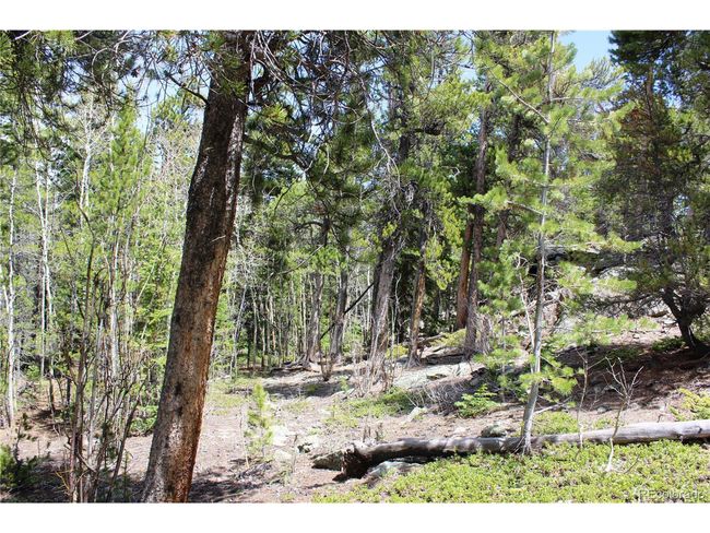 435 Aspen Rd, Home with 0 bedrooms, 0 bathrooms and null parking in Black Hawk CO | Image 20