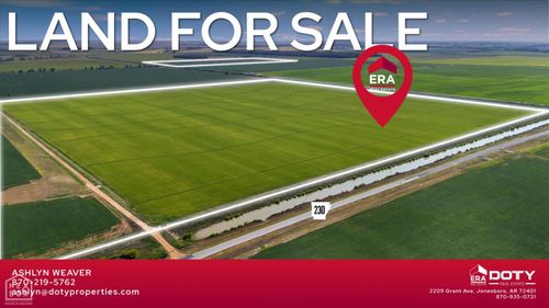 586 Acres Cr 153, Bono, AR, 72416 | Card Image