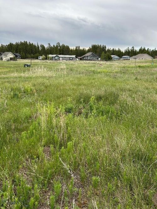 TBD Buffalo Dr, West Yellowstone, MT, 59758 | Card Image