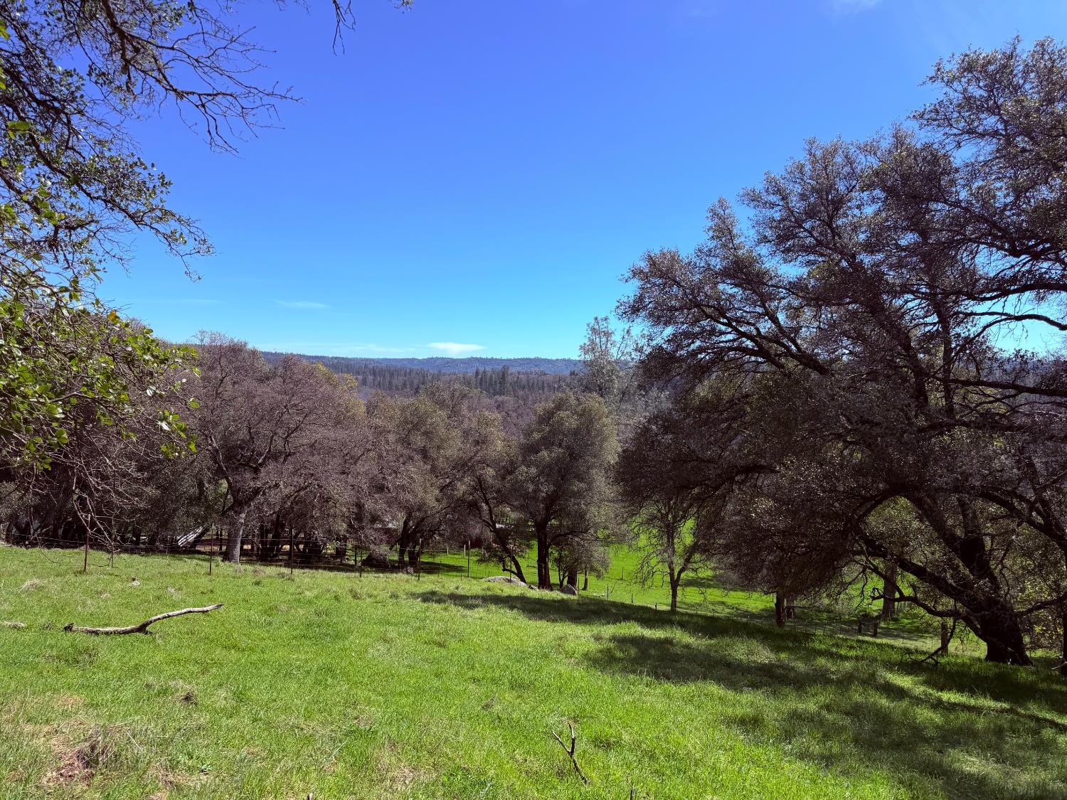 Land in Fiddletown 2