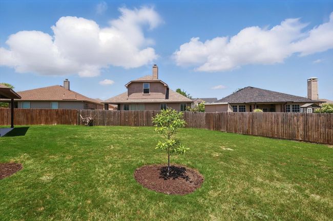View of yard | Image 35