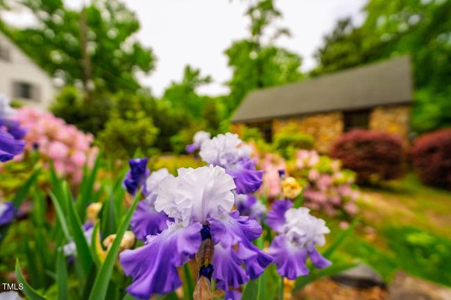 220GlandonDr-105 | Image 79