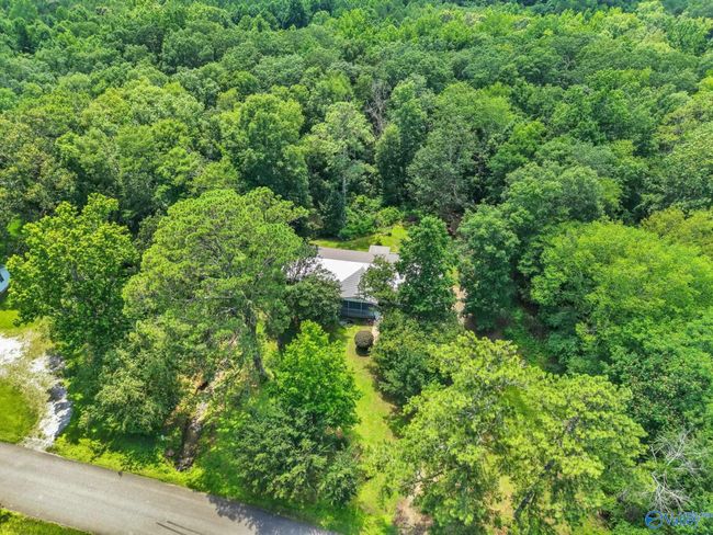 173 Brock Chapel Rd, House other with 4 bedrooms, 2 bathrooms and null parking in Union Grove AL | Image 47