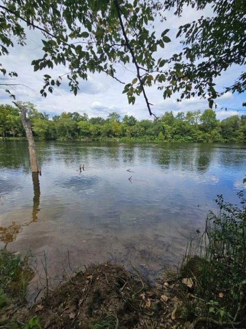 525 County Road 235, Eureka Springs, AR, 72632-8878 | Card Image