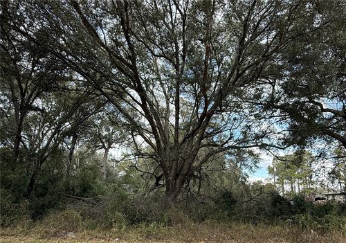 0 Hilda Rd, DADE CITY, FL, 33523 | Card Image