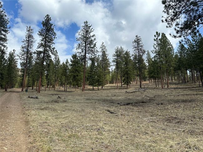 31760 Old Highway 10 W, Home with 0 bedrooms, 0 bathrooms and null parking in Alberton MT | Image 19