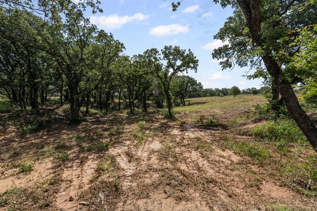 1110 Gonzollas Rd, Home with 0 bedrooms, 0 bathrooms and null parking in Springtown TX | Image 19
