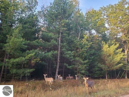 0 Buffalo Trl, Alger, MI, 48610 | Card Image