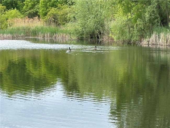 5120 Tellier Rd, Home with 0 bedrooms, 0 bathrooms and null parking in Newark NY | Image 26