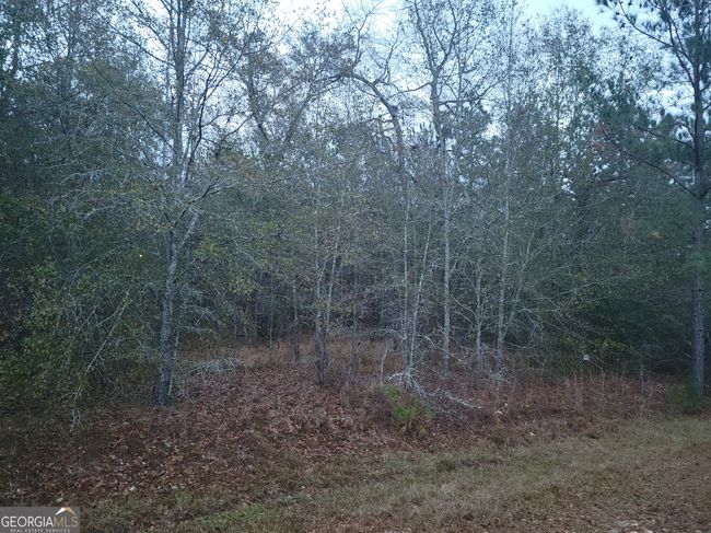121 Case Rd, Home with 0 bedrooms, 0 bathrooms and null parking in Sylvester GA | Image 4