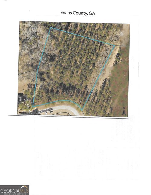 0 Pine Ridge Dr, Claxton, GA, 30417 | Card Image