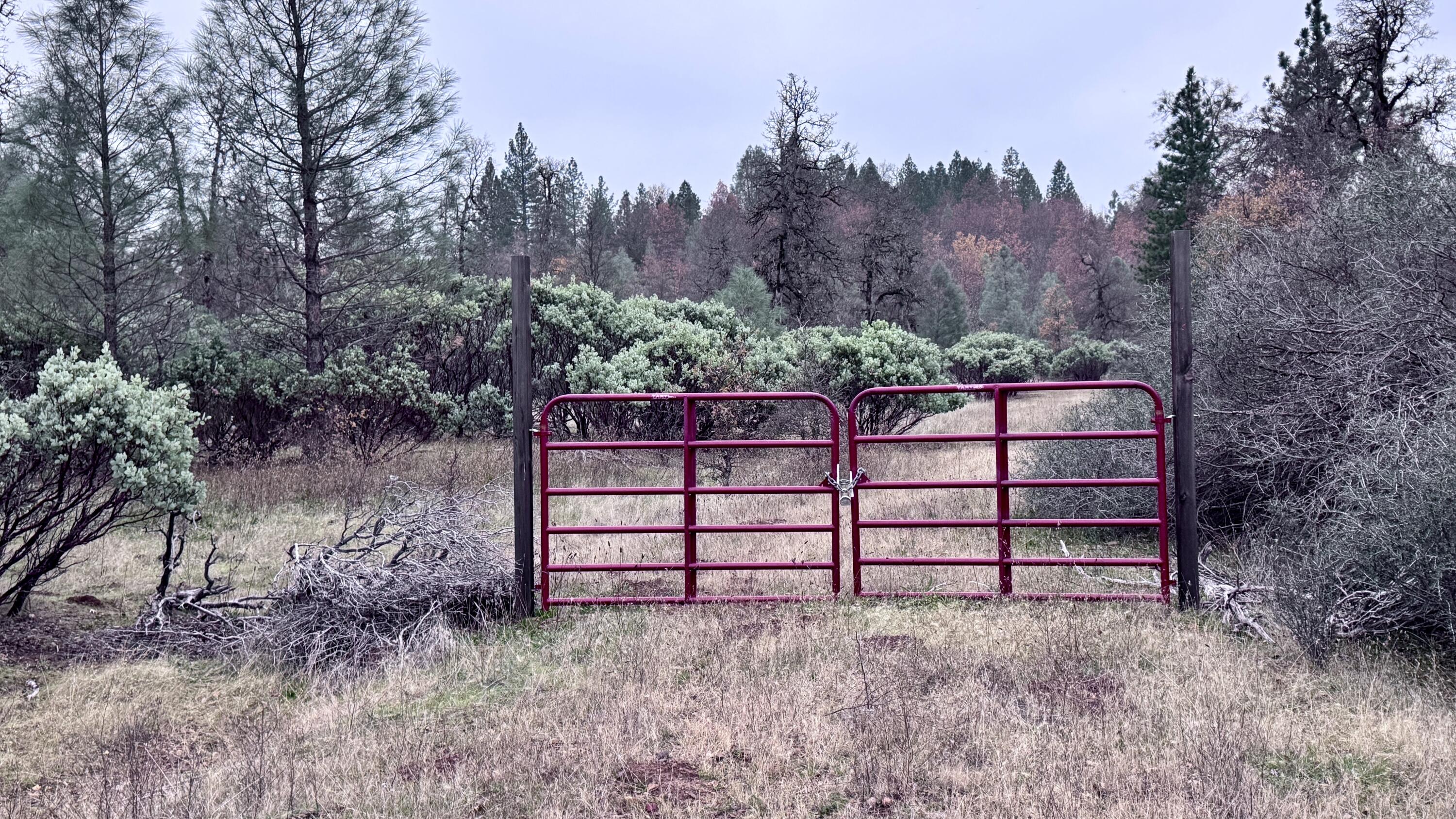 Land in Montgomery Creek