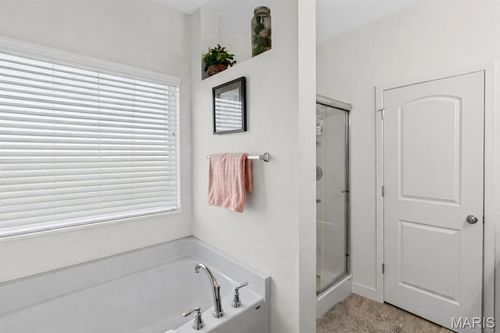 3938 Narrow Leaf Ln, Swansea, IL, 62226-7411 | Card Image