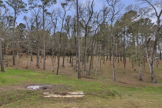 111 Cypress Bay Ldg, House other with 3 bedrooms, 6 bathrooms and 3 parking in Milam TX | Image 37