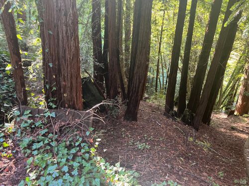 21866 Monte Vista Ter, Monte Rio, CA, 95462-9600 | Card Image