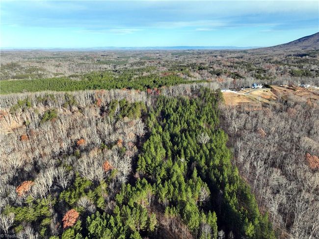 Lot 2- 0 Bowen Rd, Home with 0 bedrooms, 0 bathrooms and null parking in Pinnacle NC | Image 17