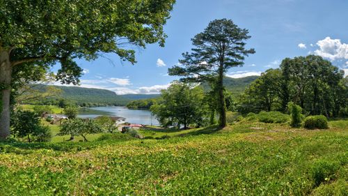 20028 River Canyon Rd, Chattanooga, TN, 37405-7415 | Card Image