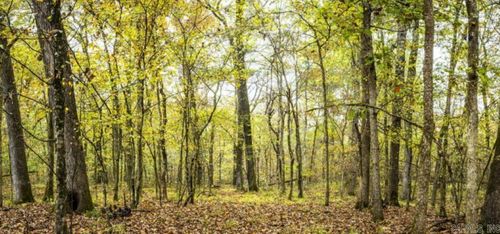 0000 Kanis Rd, Little Rock, AR, 72211 | Card Image