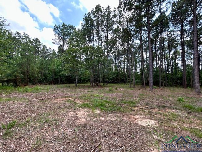 TBD 26.5 ac Boggy Rd., Home with 0 bedrooms, 0 bathrooms and null parking in Waskom TX | Image 4