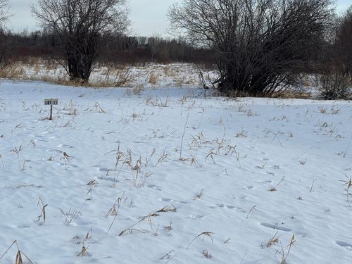 Lot 11 Irvine Avenue Nw, Bemidji, MN, 56601 | Card Image