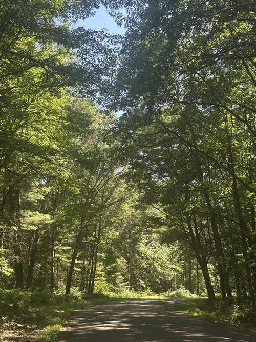 Lot 3 271st St, Holcombe, WI, 54745 | Card Image