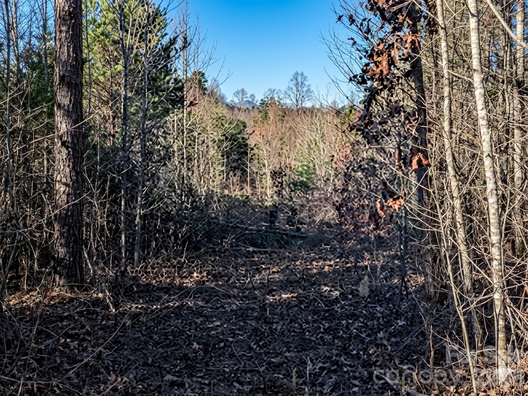 Land in Morganton 4
