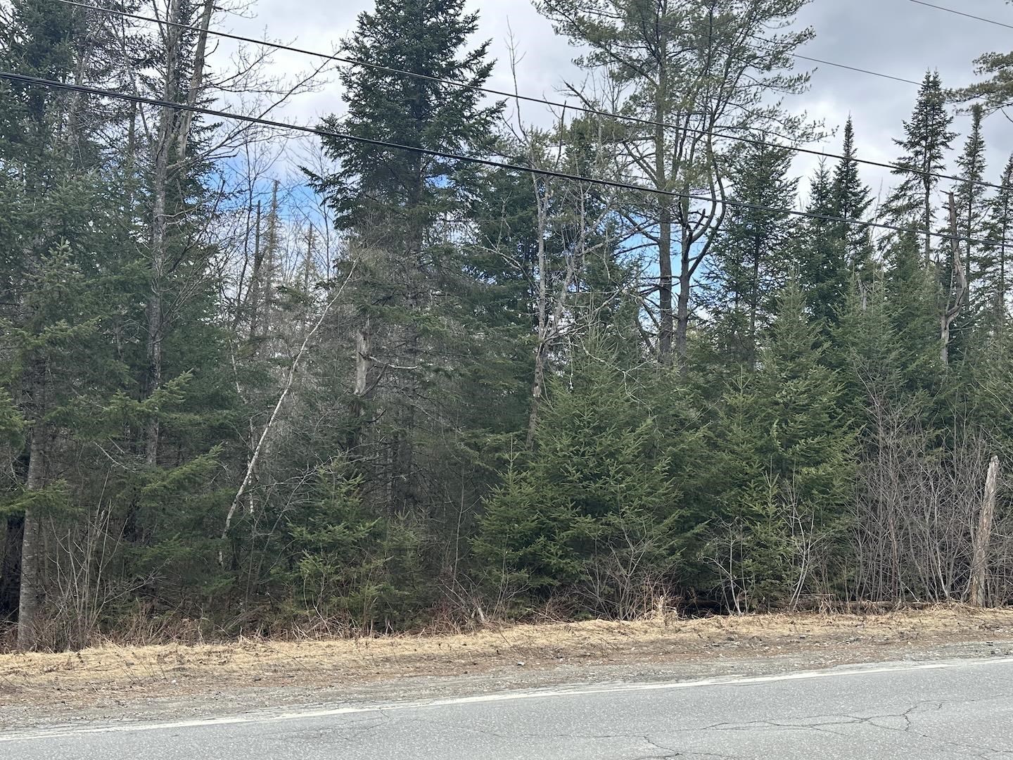 Land in Littleton 3
