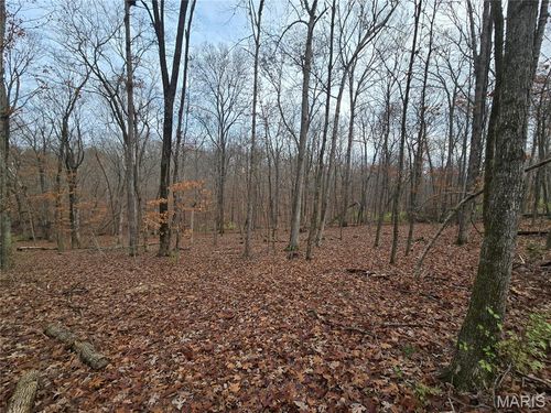 499 Sunset Echo Rd, Union, MO, 63084-3918 | Card Image