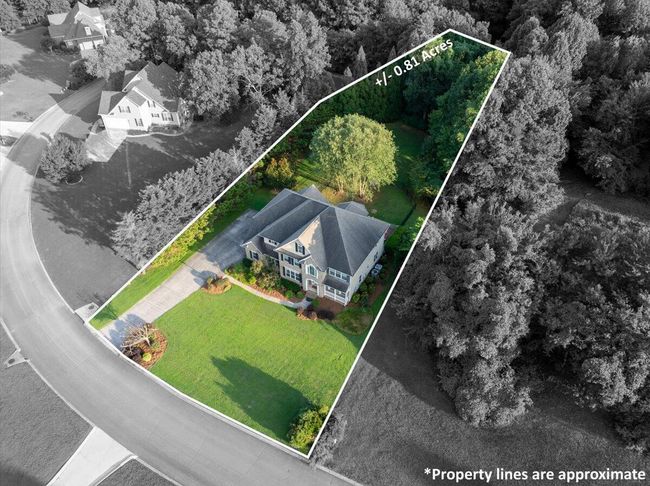 Large lot. | Image 74